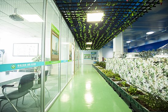 侧墙水平传输光线照明效果 侧墙水平传输光线照明效果